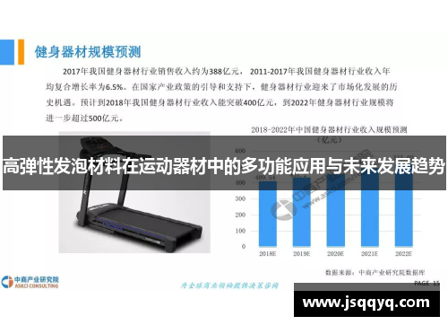 高弹性发泡材料在运动器材中的多功能应用与未来发展趋势